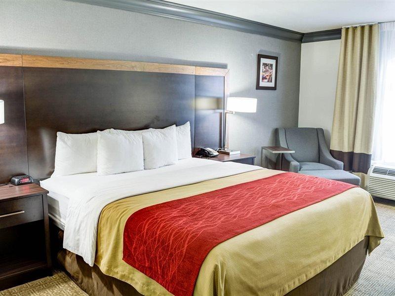Comfort Inn & Suites Near Universal - N Hollywood - Burbank Los Angeles Extérieur photo